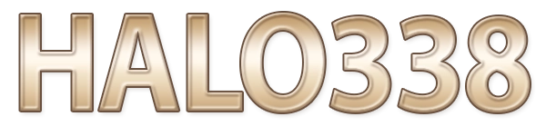 HALO338 Logo